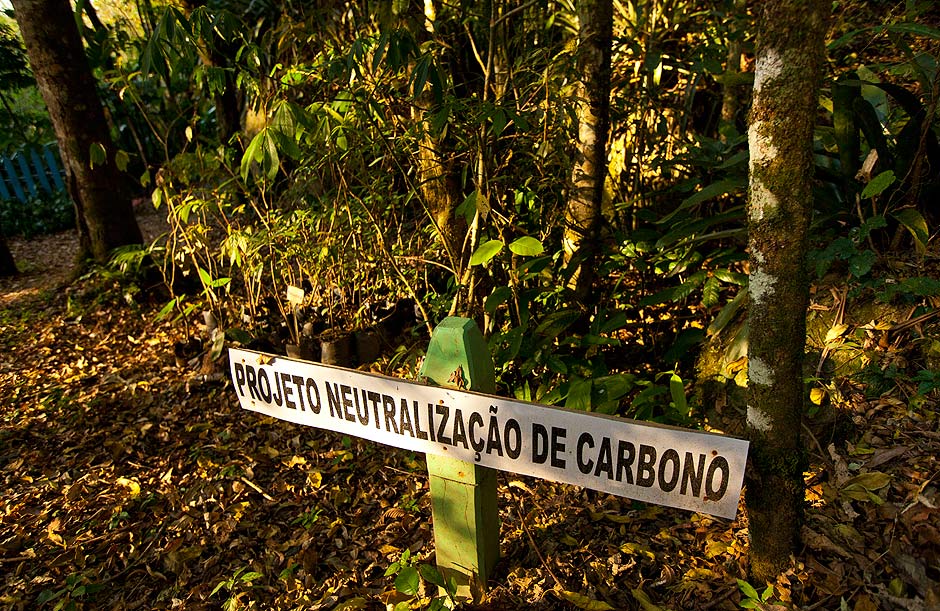 PIEDADE, SP, BRASIL, 14-09-2013, 16h00: Mudas que serao usadas para os hospedes da pousada Ronco do Bugio plantarem em area de reflorestamento. (Foto: Ze Carlos Barretta/Folhapress TURISMO)