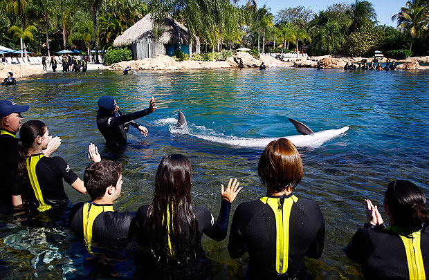 A dolphin swim experience at Discovery Cove, an exclusive park operated by SeaWorld next to its larger park in Orlando, Fla., Feb. 7, 2016. Travel companies are leading the way in the lucrative field of catering to wealthier guests; here, daily attendance is capped at 1,300 and expenses for a family of four can easily run to $1,000. (Edward Linsmier/The New York Times) ORG XMIT: XNYT15 ***DIREITOS RESERVADOS. NO PUBLICAR SEM AUTORIZAO DO DETENTOR DOS DIREITOS AUTORAIS E DE IMAGEM***