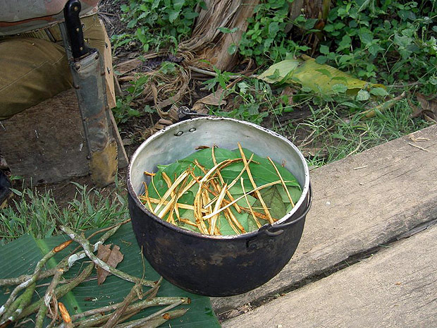 Como o turismo da ayahuasca está prejudicando os povos indígenas da Amazônia.Preparado da ayahuasca. Foto via Wikimedia Commons.