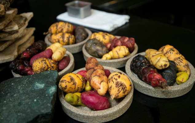 Variedades de batata usadas na cozinha do restaurante peruano Central