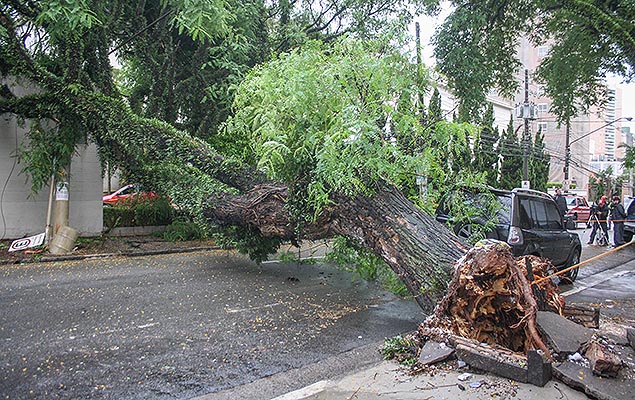 rvore cai e interdita rua Cubato, prximo ao Hospital Santa Rita, na Vila Mariana, zona sul de So Paulo