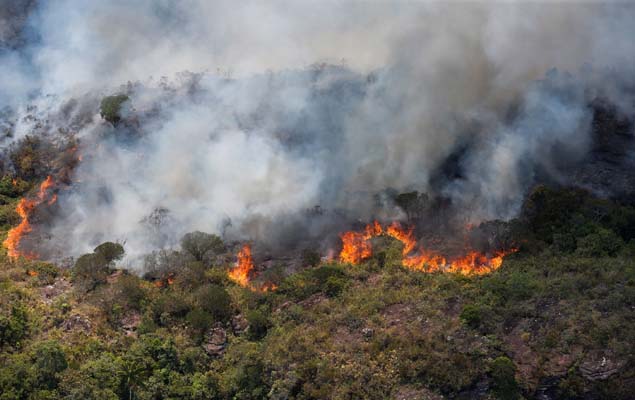 Large and long-lasting forest fires were registered throughout the county, such as in Chapada Diamantina, in Bahia
