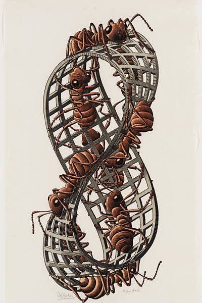 Fita de Moebius II (formigas), 1963 - Xilogravura - 45,3 x 20,5 cm