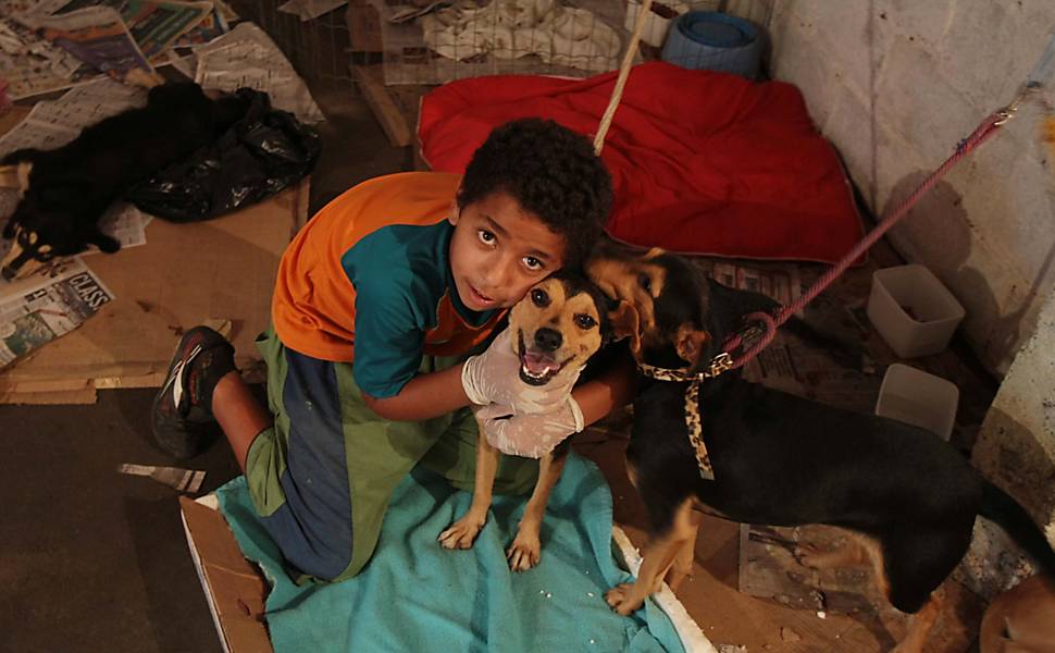 O menino Bruno Rodrigues Bento, de 11 anos, é voluntário no abrigo e tem a função de dar carinho aos cachorros que perderam os donos na enchente