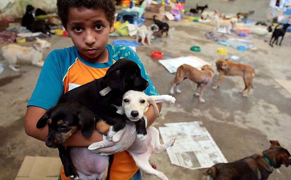 O menino Bruno Rodrigues Bento, de 11 anos, é voluntário no abrigo e tem a função de dar carinho aos cachorros que perderam os donos na enchente