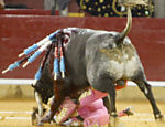 O toureiro José Padilla é atingido no rosto, por seu segundo touro, na tourada Feria del Pilar, em Zaragoza, na Espanha