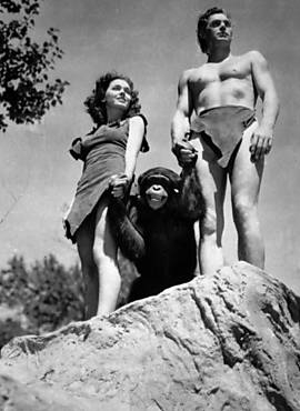 Chita com Johnny Weissmuller e Maureen O'Sullivan no filme 'Tarzan, o Homem Macaco