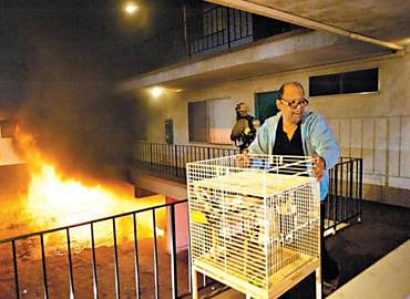 Bombeiros de Los Angeles ajudam morador a tirar pssaros de seu apartamento enquanto carros queimam na garagem