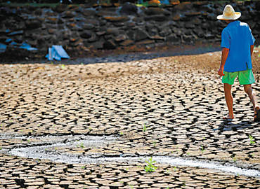rea afetada pela seca em Cristal do Sul (RS); governo deve anunciar medidas para auxiliar agricultores prejudicados
