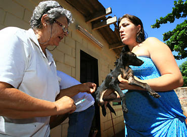 Agente vacina cachorro de Juliana Rodrigues Di Verno, na regio da avenida Mogiana