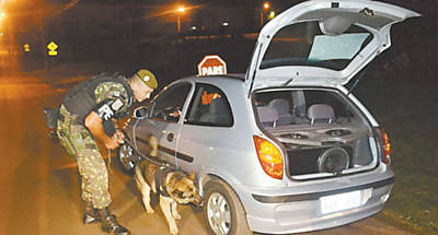 Co treinado do Exrcito fareja carro abordado em Francisco Beltro, no Paran; roubo de fuzil mobiliza 200 militares