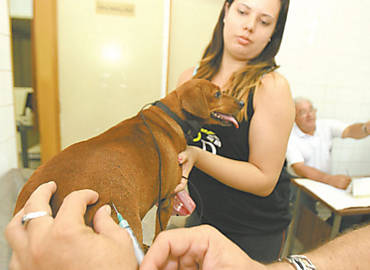 Fabiana Ferreira e a cachorra Suzi, vacinada ontem contra a raiva no Centro de Controle de Zoonoses, de Ribeiro Preto