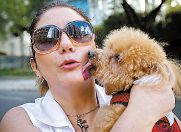 Zizi Possi e seu poodle, Rubinho, passeiam em So Paulo