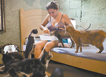Raimunda dos Santos, que abriga cerca de 50 gatos em sua casa, na zona leste de So Paulo
