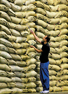 Classificador de caf recolhe amostra em armazm da Cooparaiso, no sul de Minas Gerais