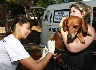 Priscila Mara Corvello segura seu co Odde para tomar vacina contra a raiva na praa Pedro de Toledo, em Araraquara