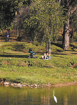 Famlia relaxa no lago do parque da Aclimao, zona sul