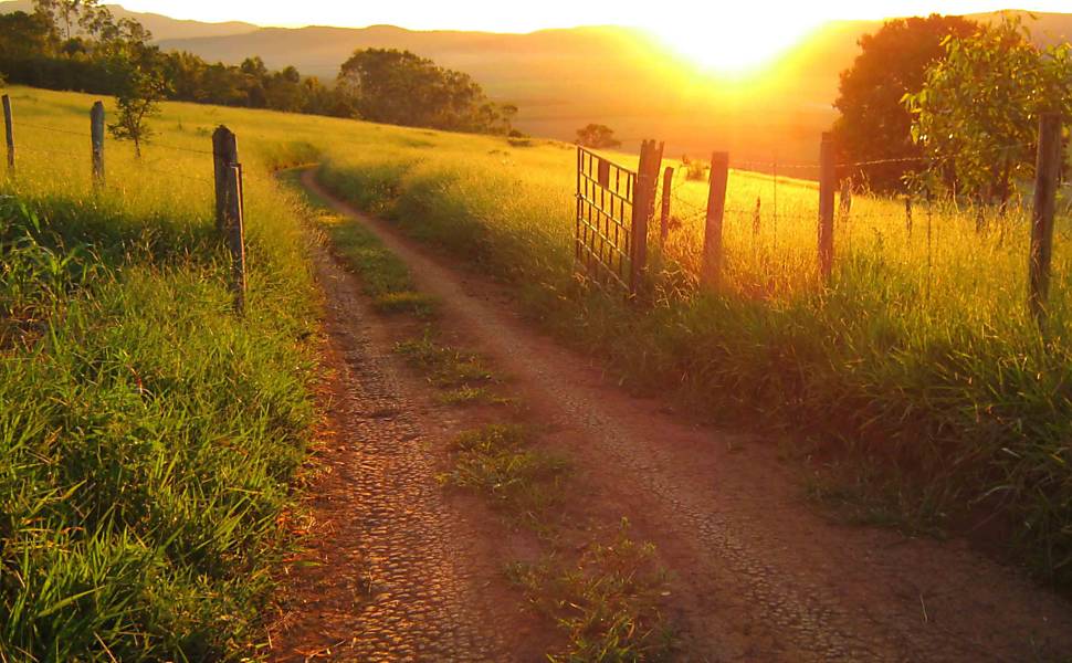 Paisagens Rurais Fotografadas Pelos Leitores 10042019 Bbc Brasil Fotografia Folha De S 7330