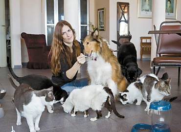 A atriz Sabine Boghici com seus gatos e cachorros que sobreviveram a incndio; abaixo, obras de Debret secam sobre o sof
