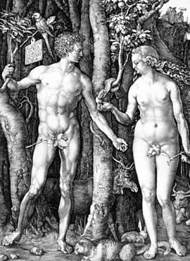 'Adão e Eva', gravura do alemão Albrecht Dürer, que está agora em exposição do Masp