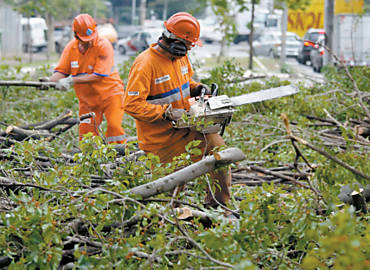Funcionrios da prefeitura trabalham na retirada de rvore que caiu na rua Junqueira Freire, na regio central da capital