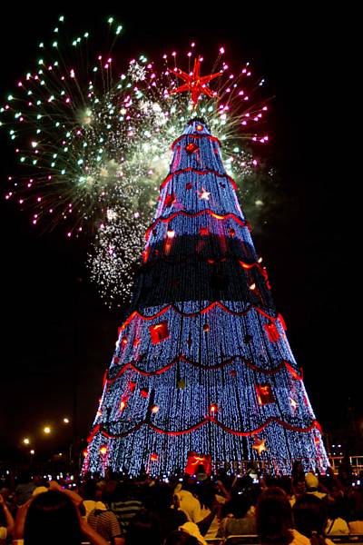 Com fogos de artifício árvore de Natal do Ibirapuera é inaugurada em São Paulo Leia mais
