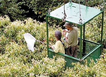 Pesquisadores usam gaiola presa a guindaste para coletas
