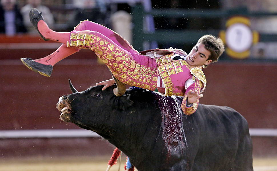 Toureiro é atingido por touro durante a Feira de Fallas em Valencia, Espanha
