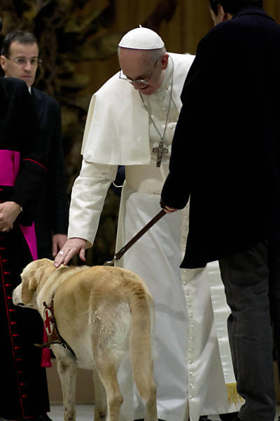 Papa argentino abençoa cão-guia na primeira entrevista