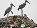 Criança recolhe plástico para reciclagem em um lixão na cidade indiana de Guwahati; nesta quarta-feira, 5, comemora-se o Dia Mundial do Meio Ambiente
