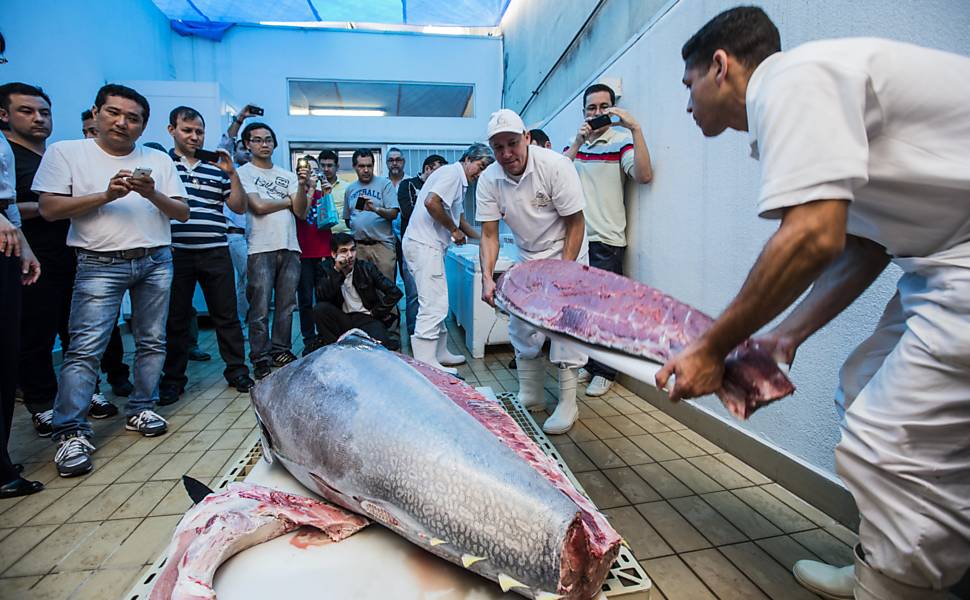 Quem é o maior produtor de salmão do mundo?