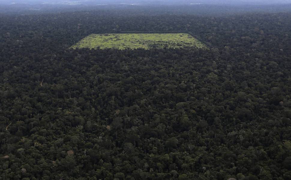 Registros do desmatamento na floresta amazônica