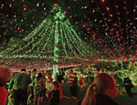 Família australiana estabelece um novo recorde mundial ao enfeitar a casa com 502.165 luzes pisca-piscas de Natal, em Canberra Leia mais 