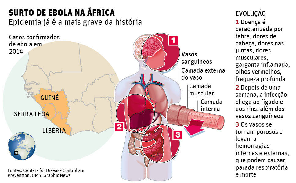 O que  ebola?