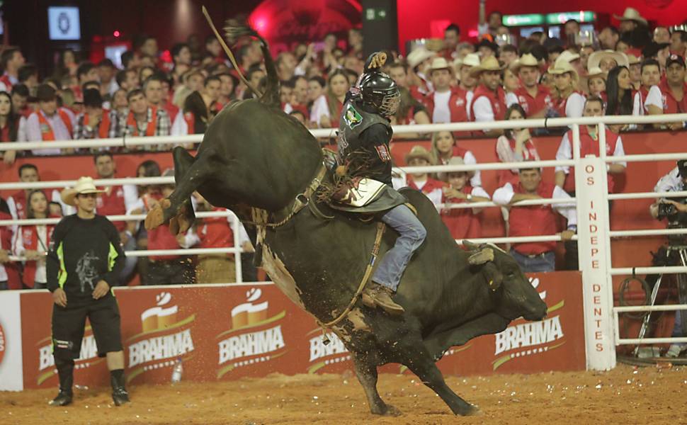 Festa Do Pe O De Boiadeiro De Barretos Cotidiano