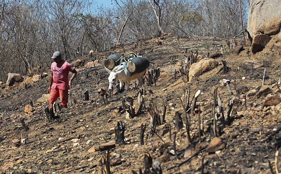 Drought in Rio Grande do Norte