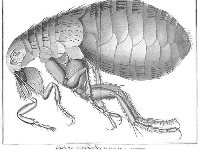 Gravuras da "Enciclopdia"