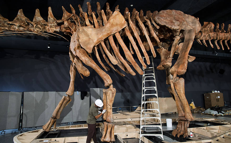 Fazendeiros encontram pistas do maior Titanossauro