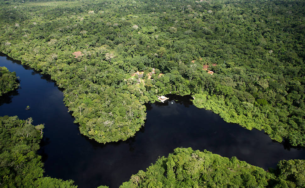 Onas-pintadas voltam ao Pantanal