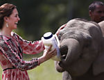 A duquesa de Cambridge, Kate Middleton, alimenta bebê elefante no Centro de Reabilitação da Vida Selvagem (CWRC), na reserva de Panbari, em Kaziranga, na Índia