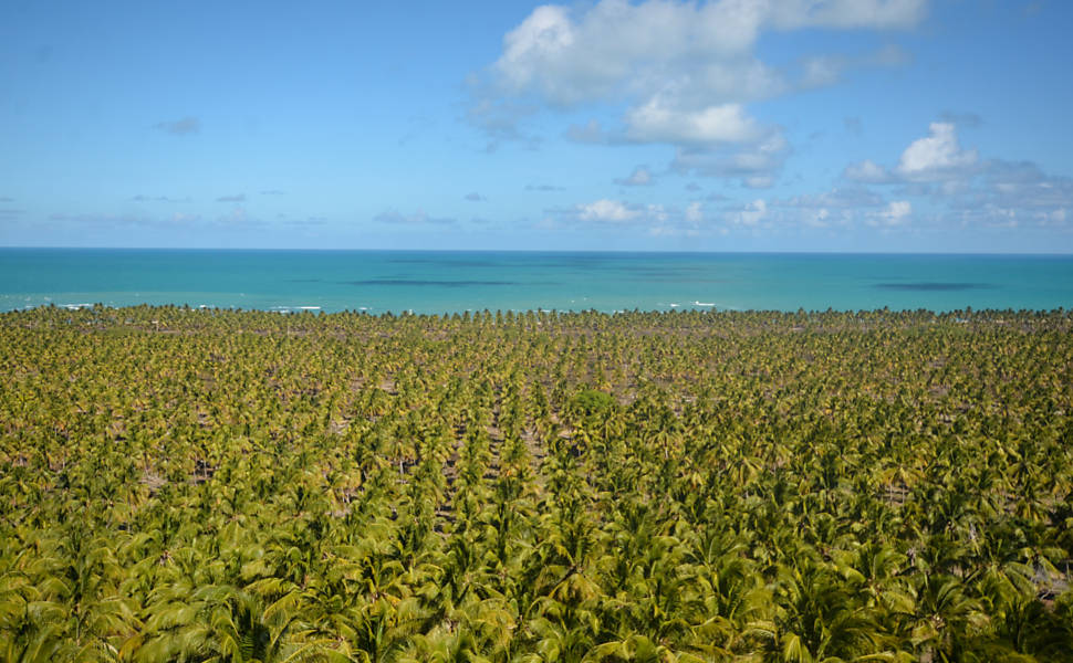 Tour de 12 dias por Maceió, Alagoas – Dia 1 – Litoral Norte – Praia do  Porto – Beach Club Milagres do Porto