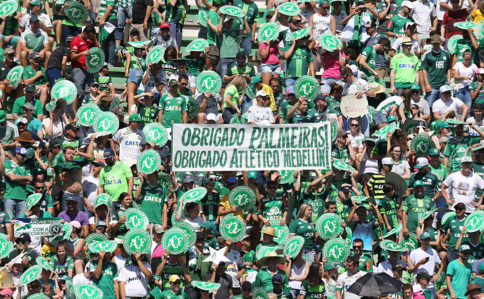 Palmeiras x Chapecoenxe