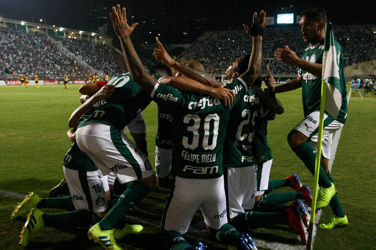 Palmeiras Atropela O Novorizontino E Se Classifica Semifinal