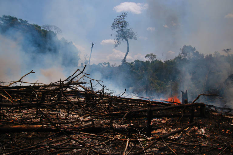 Incêndios na região metropolitana de Manaus
