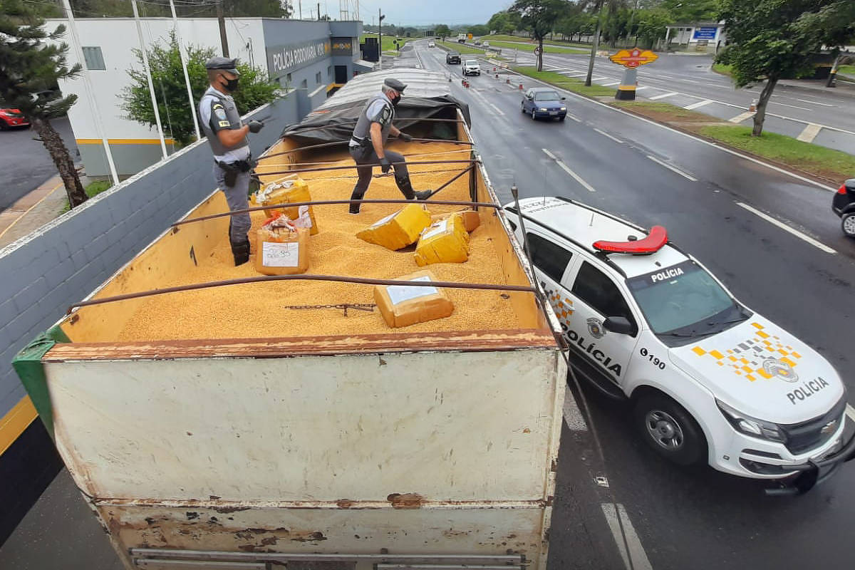 Polícia Rodoviária apreende 12 toneladas de maconha no interior de SP