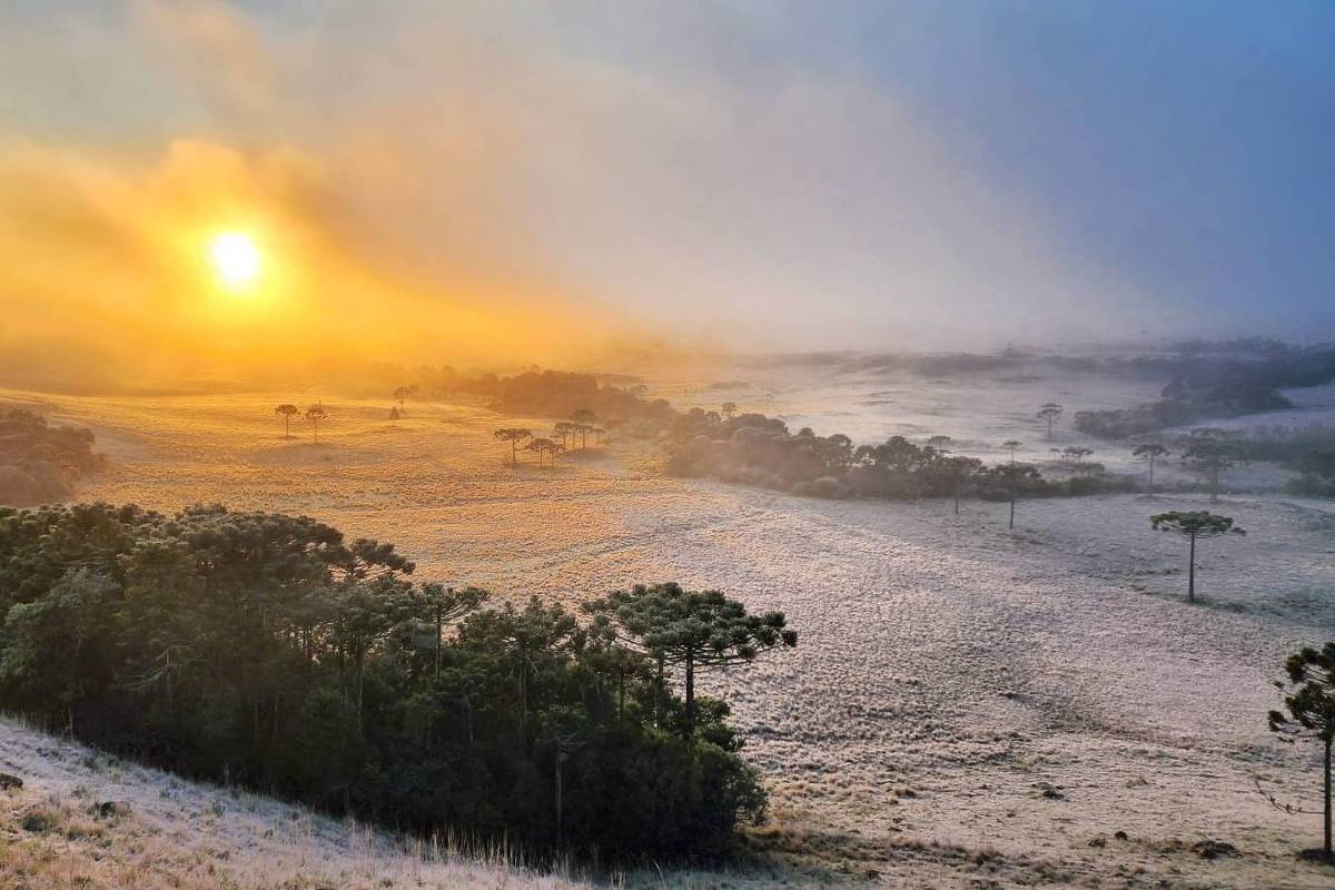 Onda De Frio Tem Alerta De Vento E Temperatura De C