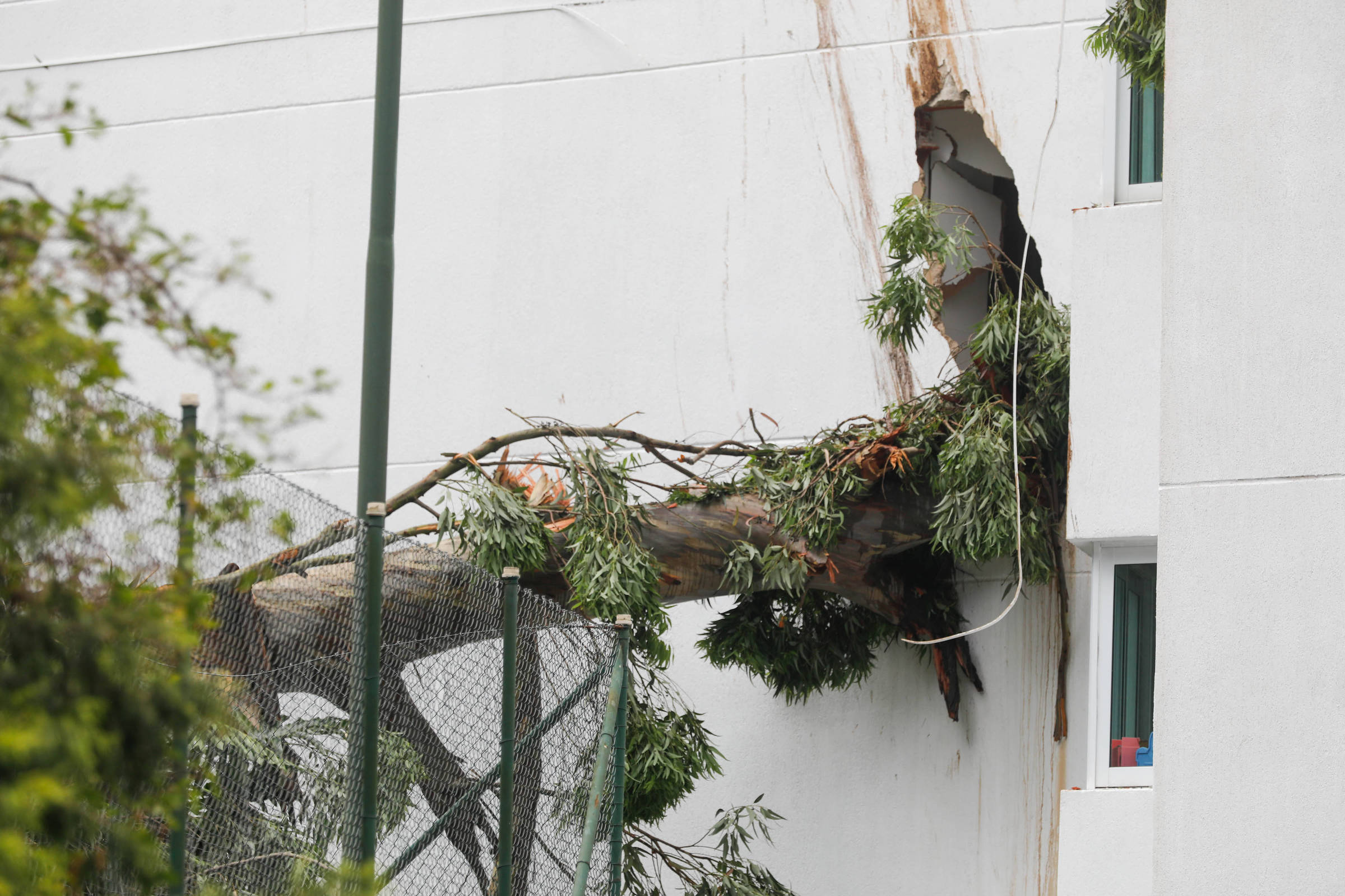 Árvore cai e abre buraco em prédio de São Paulo 07 12 2022