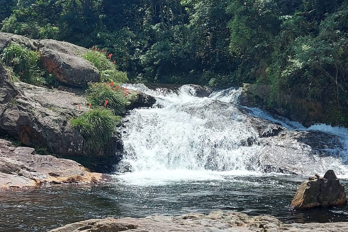 Parque Caminhos Do Mar Abre Trilha Da Cachoeira Da Torre 15 12 2022