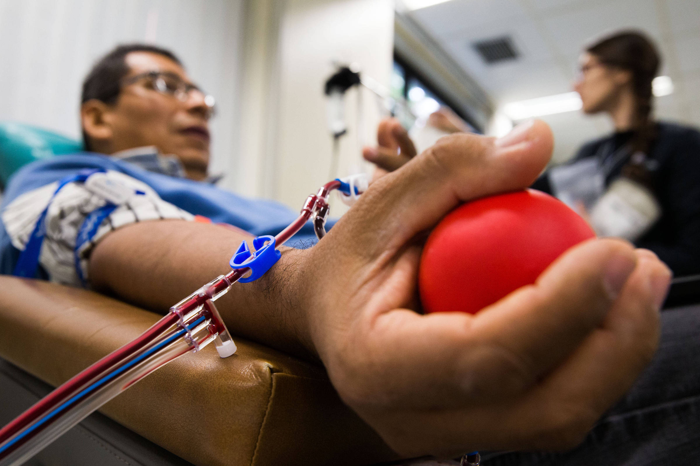 Doar sangue quais as regras e os benefícios para a saúde 14 06 2023