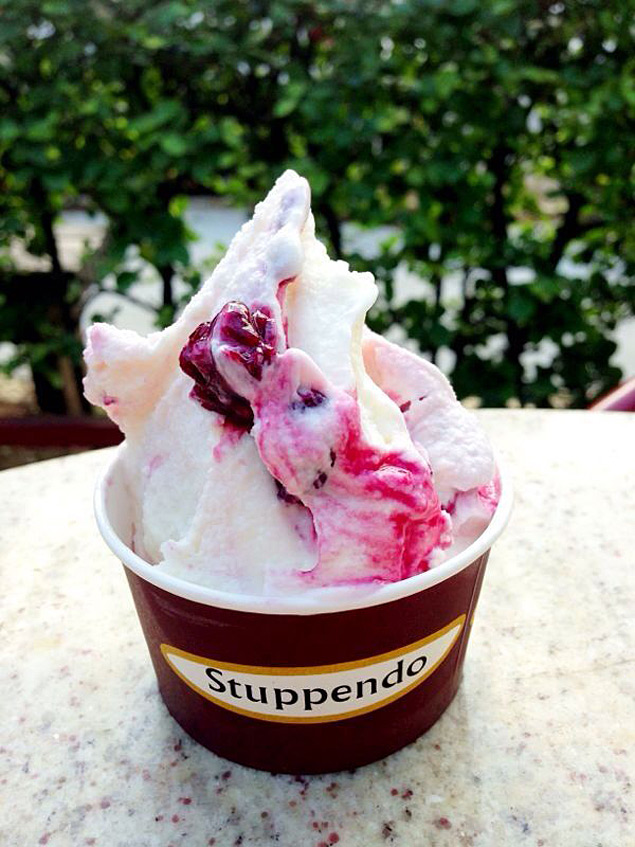 Sorvete de iogurte com amora da sorveteria Stuppendo